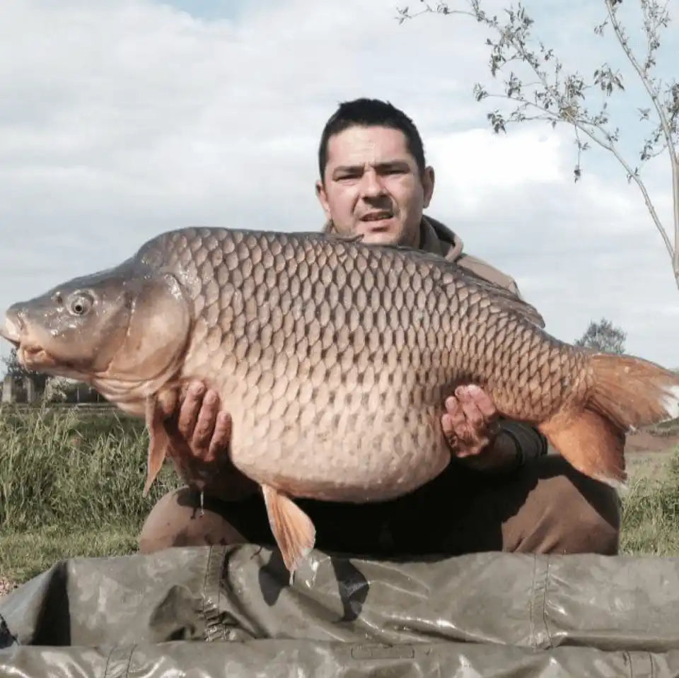 Un bărbat ținând un crap mare, recent prins.