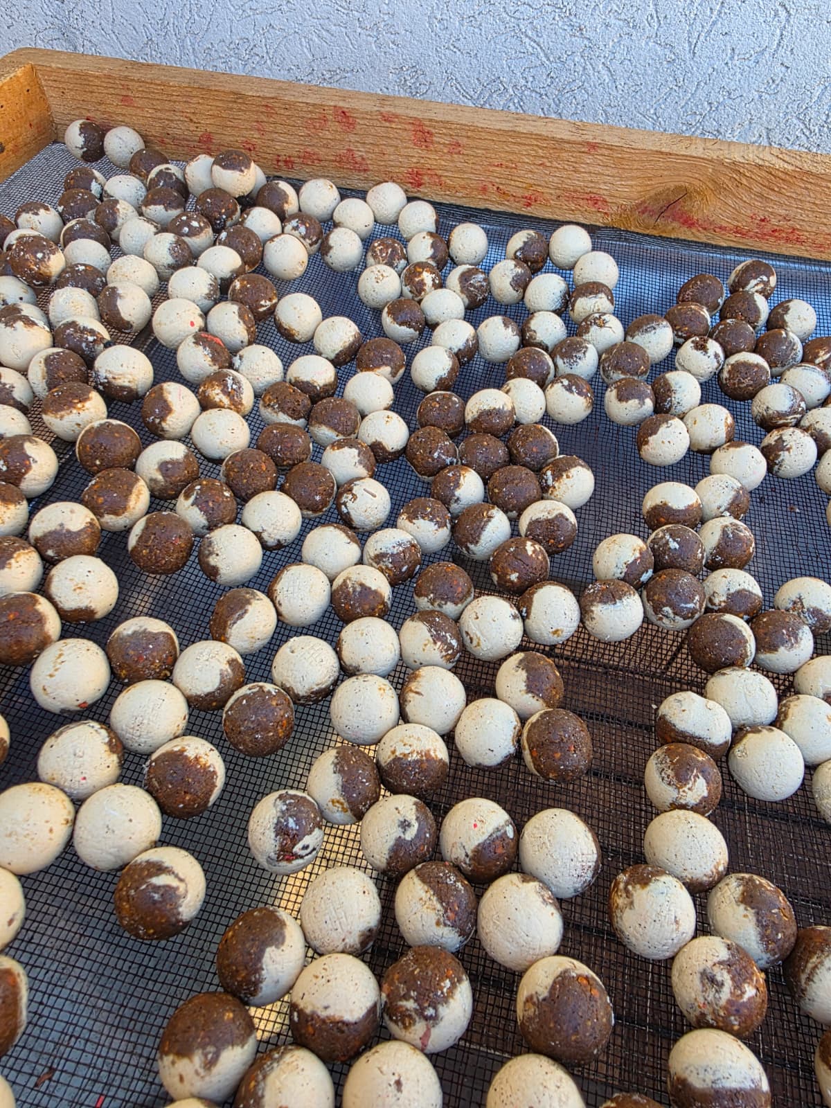 Boilies de carlig Symbiosis Spitfire - Myon Baits